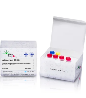 Adenovirus Detection and Quantitation Kit