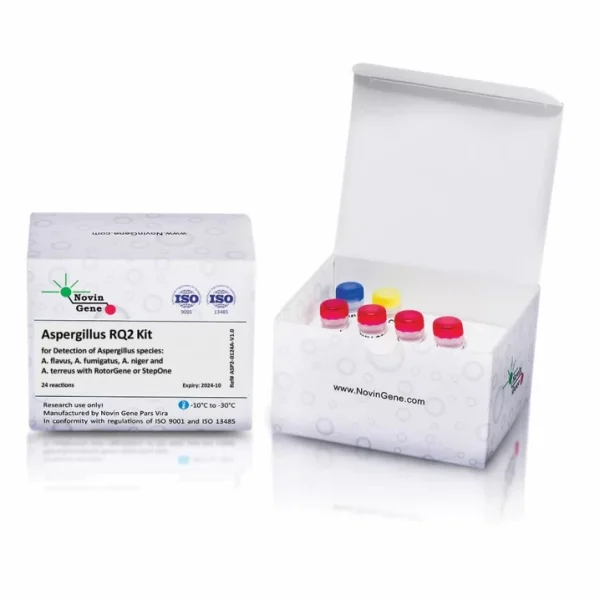 Aspergillus RQ2 Detection Kit