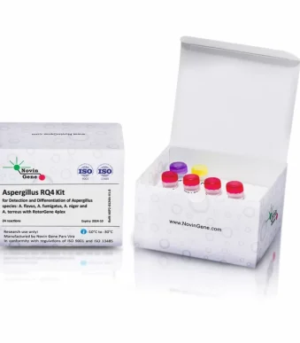 Aspergillus RQ4 Detection Kit