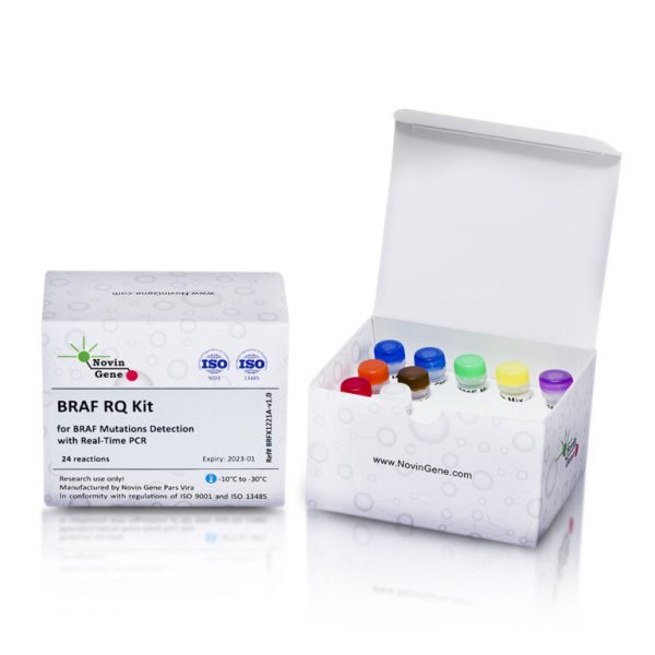 BRAF Mutations Detection Kit