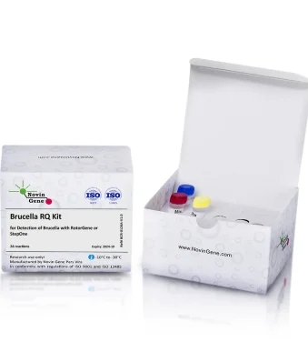 Brucella Detection Kit
