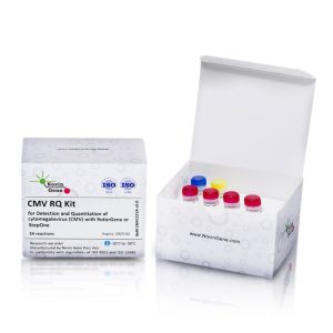 CMV Detection and Quantitation Kit