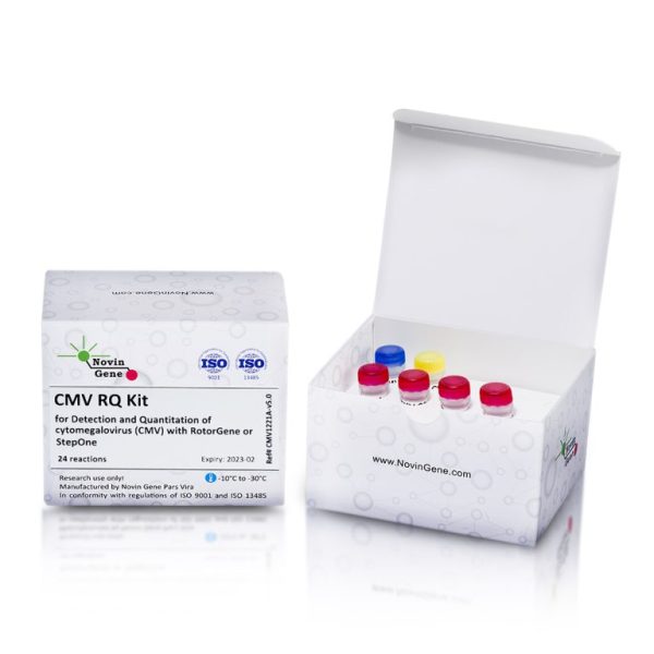 CMV Detection and Quantitation Kit
