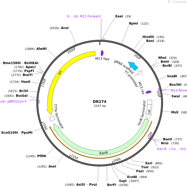 وکتور DR274 خطی شده
