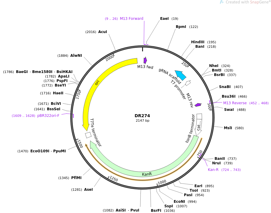 وکتور DR274 خطی شده
