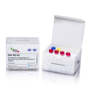 EBV Detection and Quantitation Kit