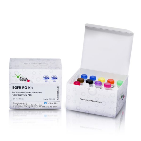 EGFR Mutation Detection Kit