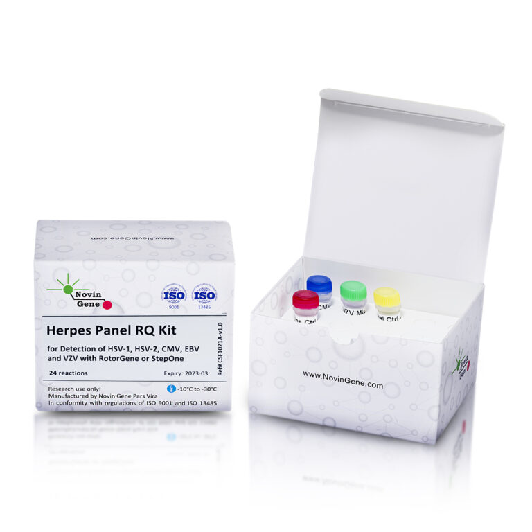Herpes Detection Kit (CMV/EBV/ HSV/VZV)