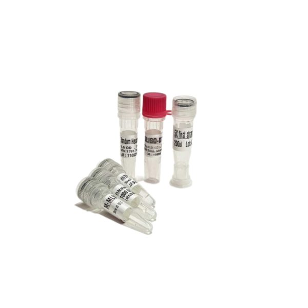 کیت سنتز سی دی اِن آ | cDNA synthesis Kit