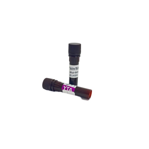 پسیو رفرنس دای