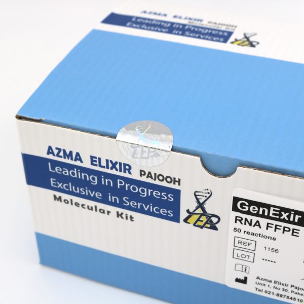GeneExir FFPE Tissue RNA Extraction Kit